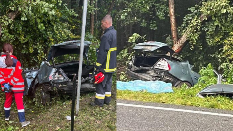 Due morti, ci sono feriti: un un'auto si è schiantata contro un albero nella regione di Leopoli