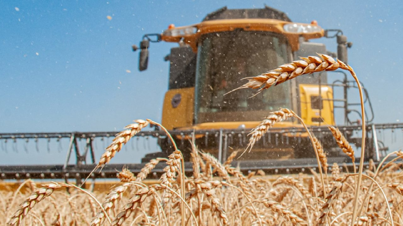 L'Ucraina nel 2023 ha raccolto 15 milioni di tonnellate in più del previsto - Ministero delle Politiche Agrarie