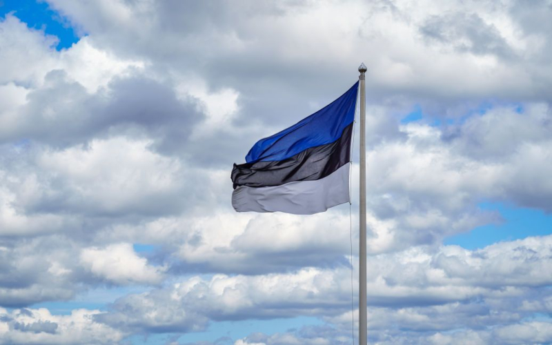 Munizioni per l'Ucraina: l'Estonia aderirà al contratto quadro tedesco