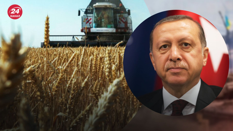 Futuro accordo sul grano: Erdogan farà un importante annuncio dopo i negoziati con Putin