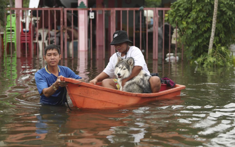 Cina va sott'acqua: le piogge continuano per il settimo giorno (foto)