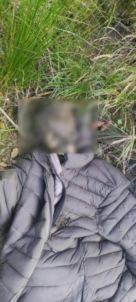  Il corpo si è trasformato in uno scheletro: il cadavere di un ucraino è stato trovato vicino al confine con la Romania (foto)