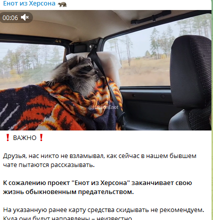 Il russo che ha rubato il procione da Kherson, si è lamentato del furto dell'animale da parte del suo stesso assistente