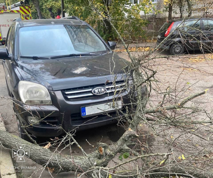  In Ucraina infuria una tempesta. In 12 regioni si registrano problemi con l'elettricità, centinaia di alberi caduti e due morti
