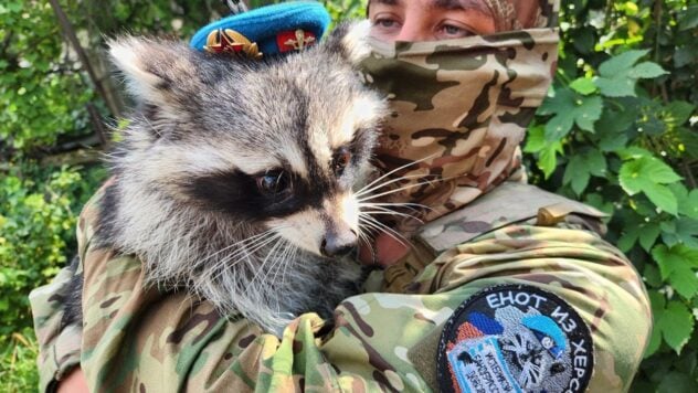 Il russo che ha rubato un procione a Kherson si è lamentato del furto dell'animale da parte del suo stesso assistente 