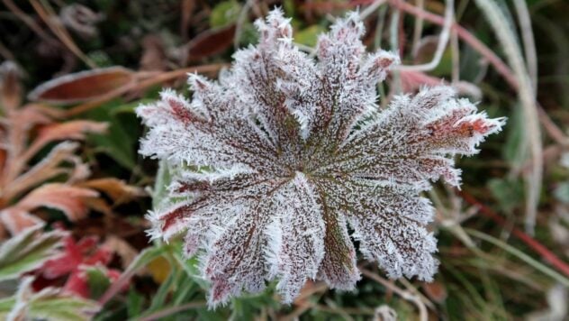 Gelate notturne, pioggia e nevischio: previsioni meteo per il resto della settimana