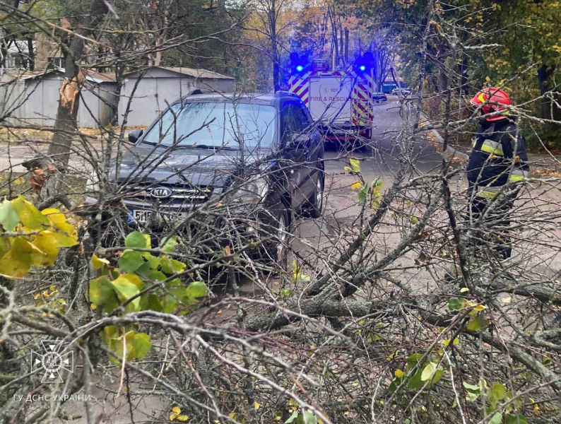 Una tempesta infuria in Ucraina. Problemi con l'elettricità in 12 regioni, centinaia di alberi caduti e due morto