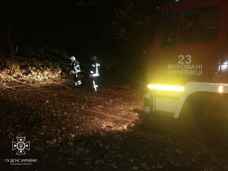 Una tempesta infuria in Ucraina. In 12 regioni lì ci sono problemi con l'elettricità, centinaia di alberi caduti e due morti