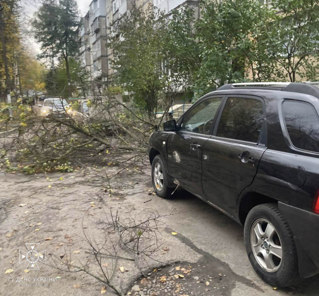 In Ucraina infuria una tempesta. In 12 regioni si registrano problemi con l'elettricità, centinaia di alberi caduti e due morti.