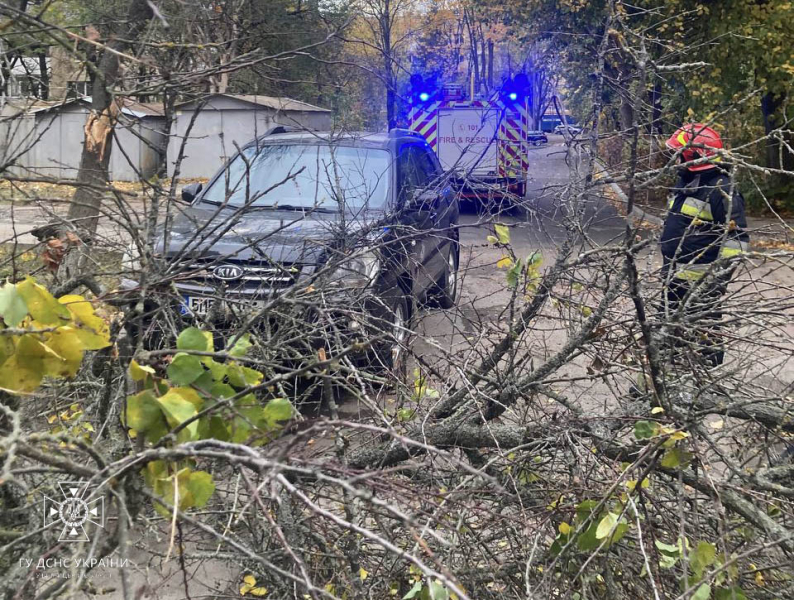 In Ucraina infuria una tempesta. Problemi con l'elettricità in 12 regioni, centinaia di alberi caduti e due morto