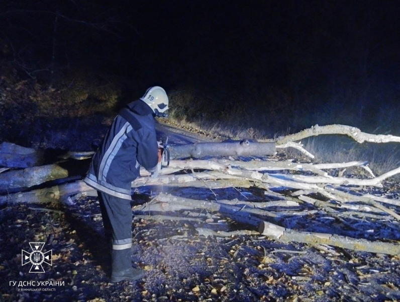 Una tempesta infuria in Ucraina. In 12 regioni lì sono problemi con l'elettricità, centinaia di alberi caduti e due morti