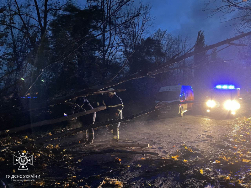 In Ucraina infuria una tempesta. Problemi con l'elettricità in 12 regioni, centinaia di alberi caduti e due morto
