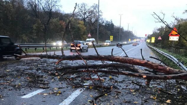 Venti di tempesta infuriano a Kiev: alberi caduti nelle zone della capitale durante la notte