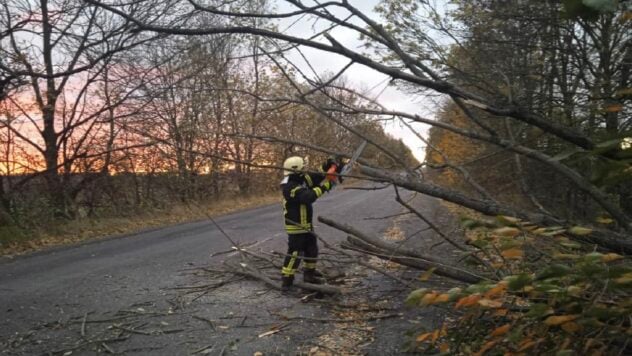 In Ucraina infuria una tempesta. Problemi con l'elettricità in 12 regioni, centinaia i caduti alberi e due morti