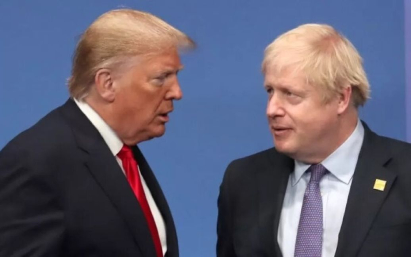 B il governo britannico ha valutato la risposta di Johnson al COVID-19