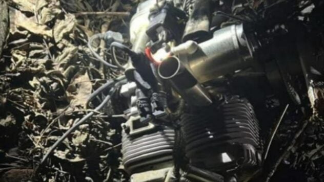 Il magazzino di un'azienda agricola era in fiamme – OK South sulla caduta di detriti di UAV nella regione di Nikolaev