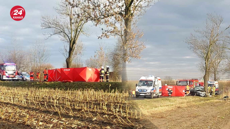 Un'auto si è schiantata contro un albero: in un incidente in Polonia, sono morti ucraini