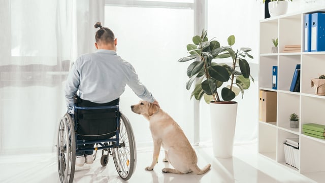 Come richiedere l'invalidità per un pensionato: istruzioni passo passo