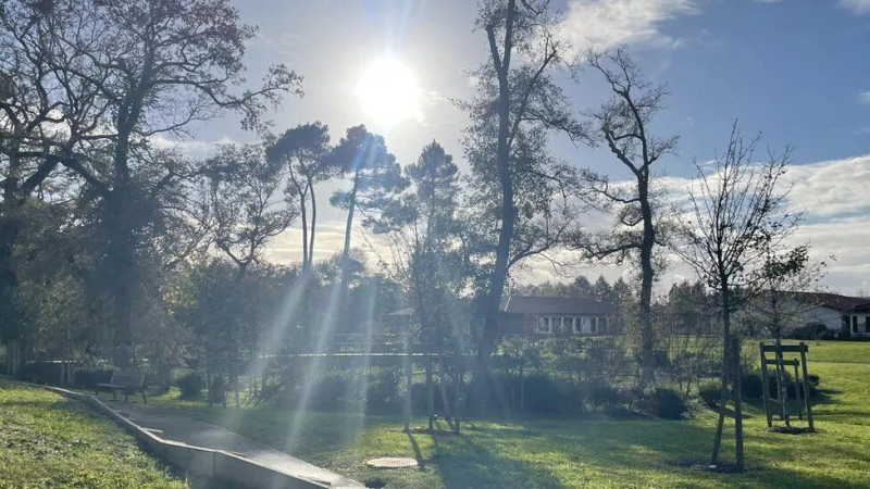 Landais: cosa si sa di un villaggio unico dove tutti gli abitanti soffrono di demenza (foto)