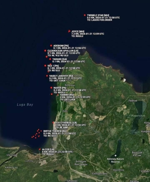 La spedizione di petrolio è stata fermato: conseguenze di un attacco di droni al terminale dell'impianto Novatek