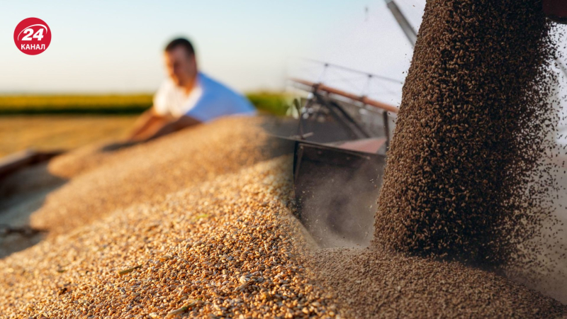 Gli agricoltori lituani hanno rifiutato avviare un blocco antiucraino con i polacchi: qual è la loro posizione?