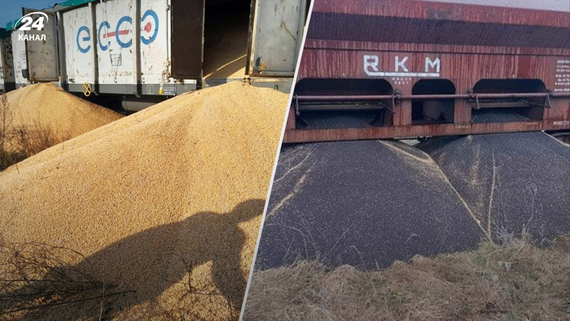Il più grande sabotaggio del grano ucraino è avvenuto in Polonia: l'Ucraina ha già risposto