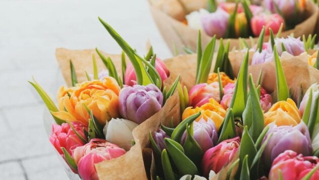 Quanto costano i tulipani in Ucraina nel 2024: prezzi dei fiori per regione