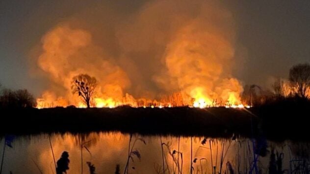 Si stanno indagando sulle cause dell'incendio nell'eco-parco di Osokorki e sulla versione di si sta prendendo in considerazione un incendio doloso — KGVA