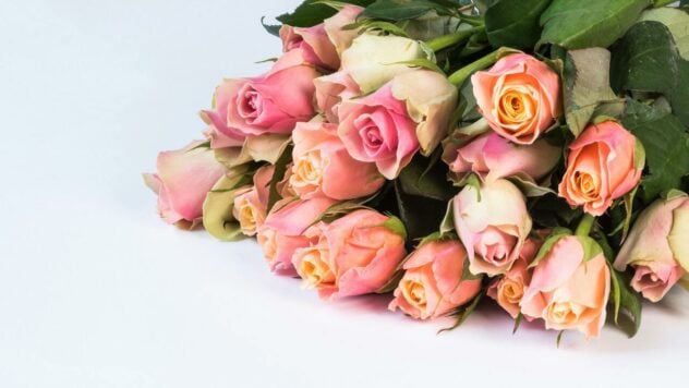 Quanto costano 101 rose in Ucraina nel 2024: prezzi dei fiori per regione