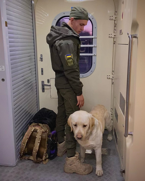 Un militare con un Labrador di servizio non era ammesso sul treno: dettagli dell'incidente 