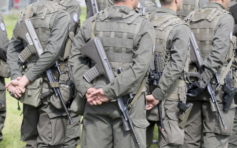 Austria ha espresso la sua posizione sull'invio di personale militare in Ucraina