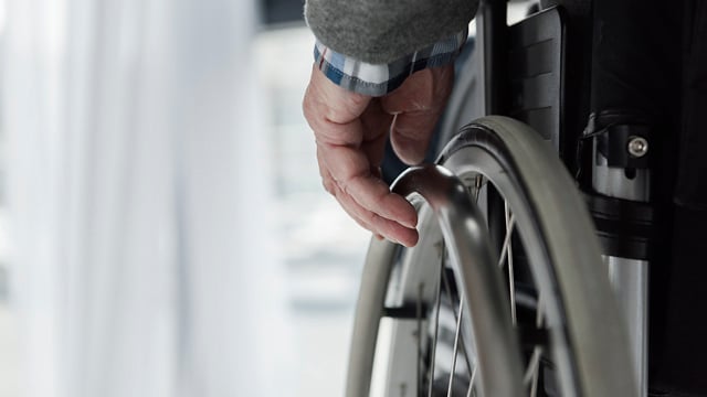 Quali gruppi di disabili non sono soggetti a mobilitazione 2024: elenco