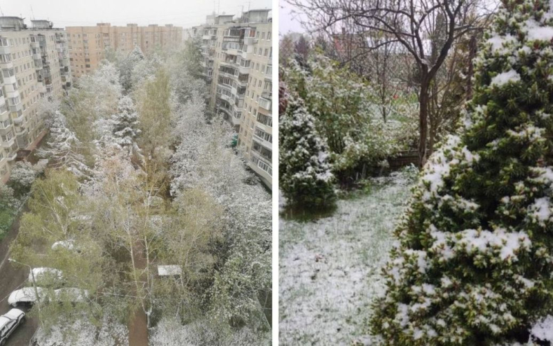 Mosca è coperta con la neve e il gelo (foto, video)