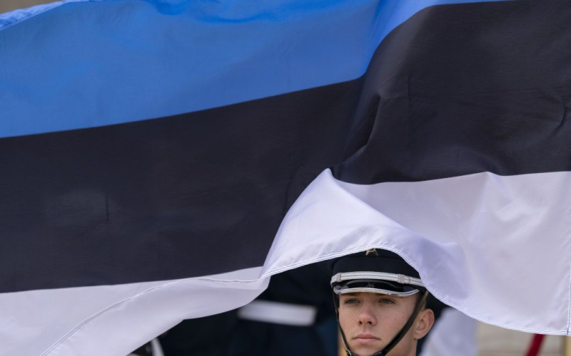 Soggiorno degli ucraini responsabile del servizio militare all'estero: l'Estonia ha fatto una dichiarazione