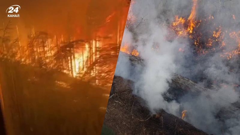 Grandi incendi infuriano in Buriazia e Transbaikalia: lì è stato dichiarato lo stato di emergenza