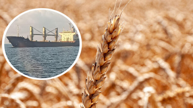 L'ambasciatore in Turchia ha detto ciò che l'Ucraina non accetterà nel nuovo accordo sul grano