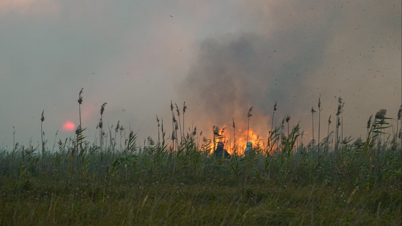 Ustioni vicino a Kiev, Liman e Poltava: cosa sappiamo degli incendi su larga scala in Ucraina