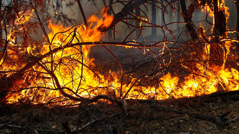 Urusioni vicino a Kiev, Liman e Poltava: cosa si sa degli incendi su larga scala in Ucraina