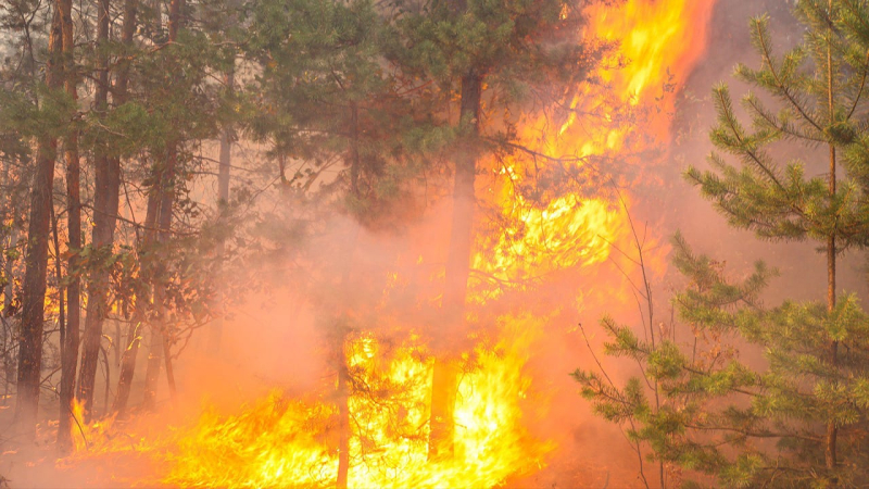 Brucia vicino a Kiev, Liman e Poltava: cos'è noto degli incendi su larga scala in Ucraina