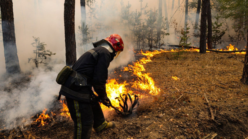 Brucia vicino a Kiev, Liman e Poltava: cosa si sa dei grandi incendi su larga scala in Ucraina