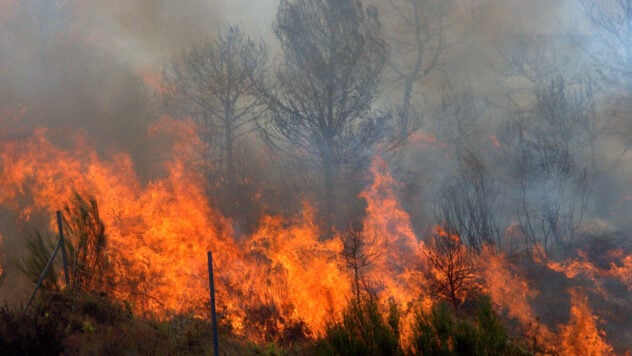 Un vasto incendio boschivo infuria nella regione di Kharkov: 200 persone sono state evacuate