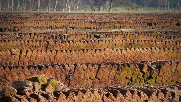 Che cosa sono le torbiere e perché il loro incendio è pericoloso