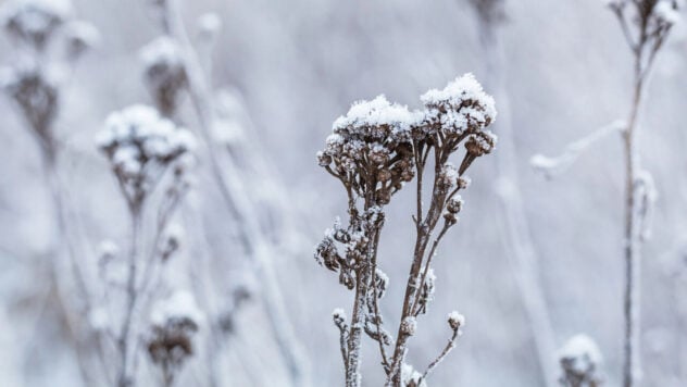 Temperatura media invernale in Ucraina: previsioni del Centro Idrometeorologico Ucraino