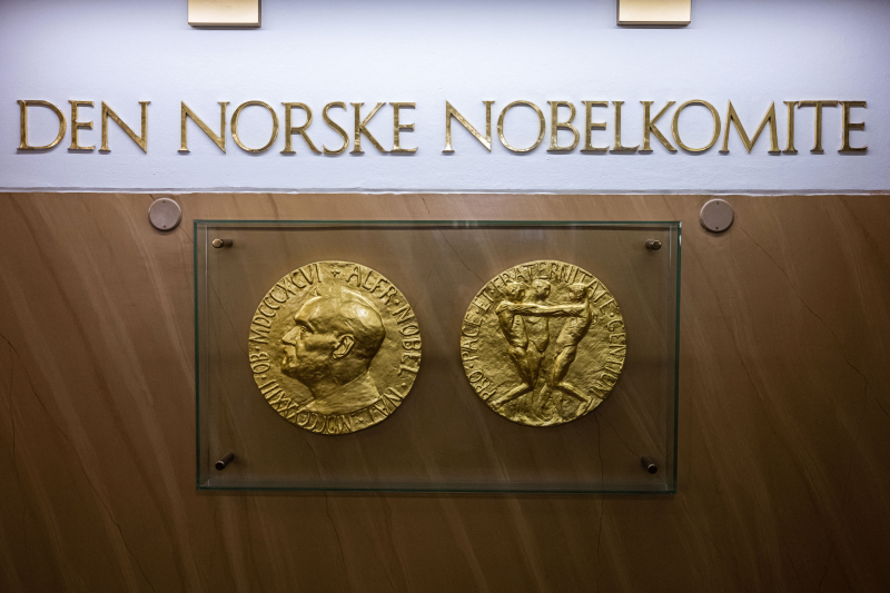 Nominati i favoriti per il Premio Nobel per la Pace: chi c'è nella lista degli esperti e dei bookmaker