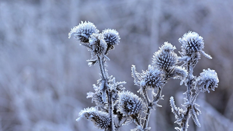 Il tempo a novembre: il meteorologo ci ha detto quando e dove aspettarsi il primo neve