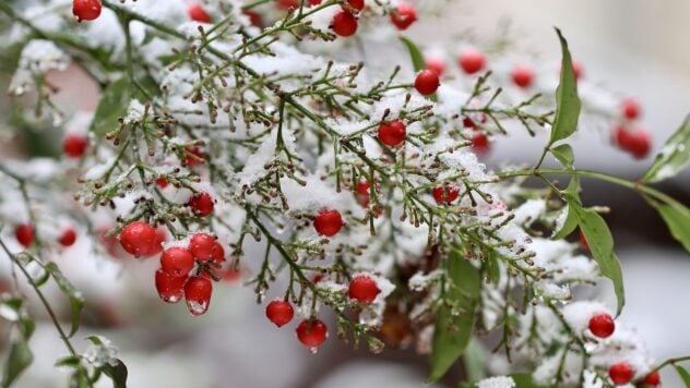 Quando nevicherà a Nikolaev: previsioni del tempo