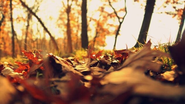 La temperatura salirà a 15 gradi: quando il riscaldamento arriverà in Ucraina