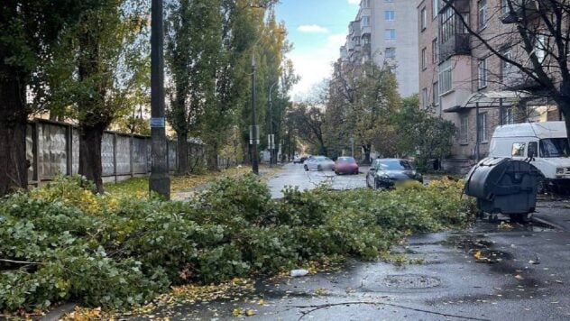 Il maltempo infuria a Kiev: forti venti hanno abbattuto alberi sulle strade e strappato tetti