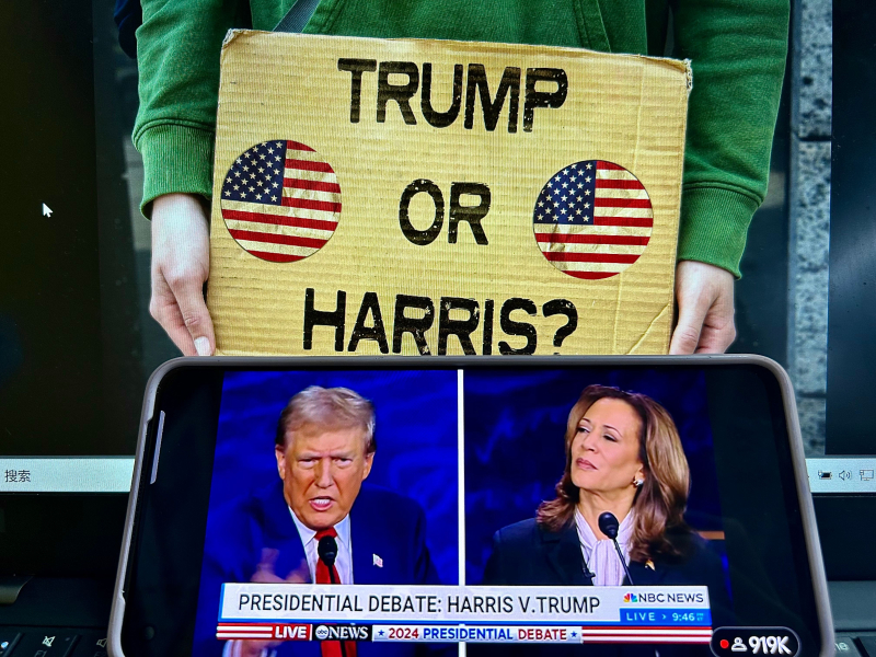 Trump vs Harris: perché scelgono tra i due alle elezioni americane e ci sono altri candidati