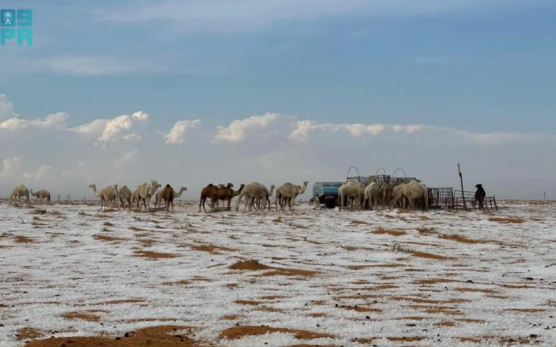 Fenomeno senza precedenti: Il deserto dell'Arabia Saudita è stato coperto di neve per la prima volta.